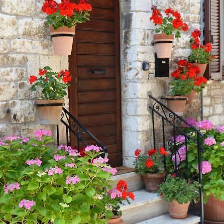 Casa Gentile Apartman Assisi Kültér fotó