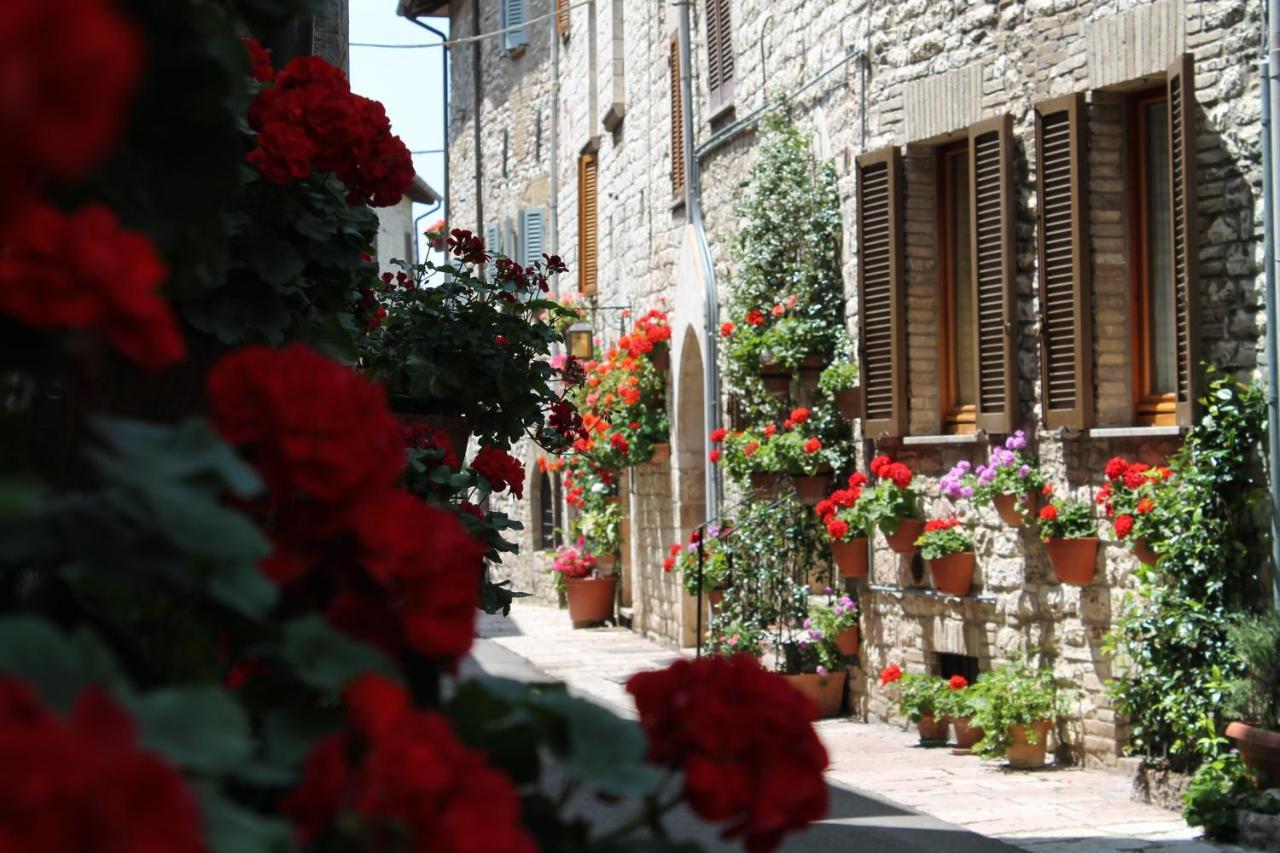 Casa Gentile Apartman Assisi Kültér fotó