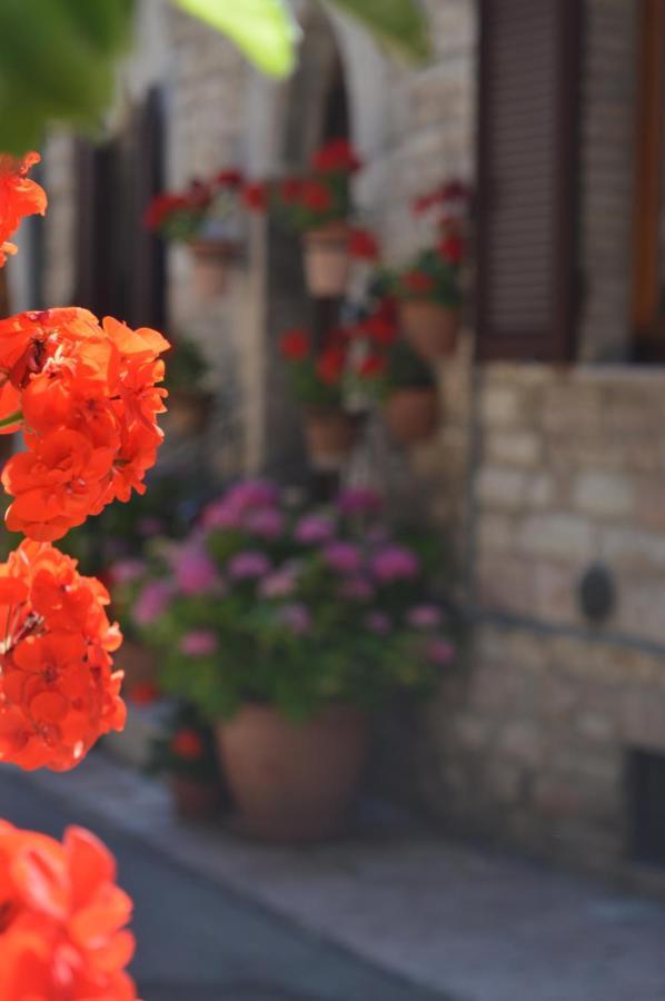 Casa Gentile Apartman Assisi Kültér fotó