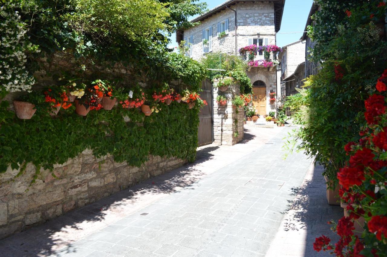 Casa Gentile Apartman Assisi Kültér fotó